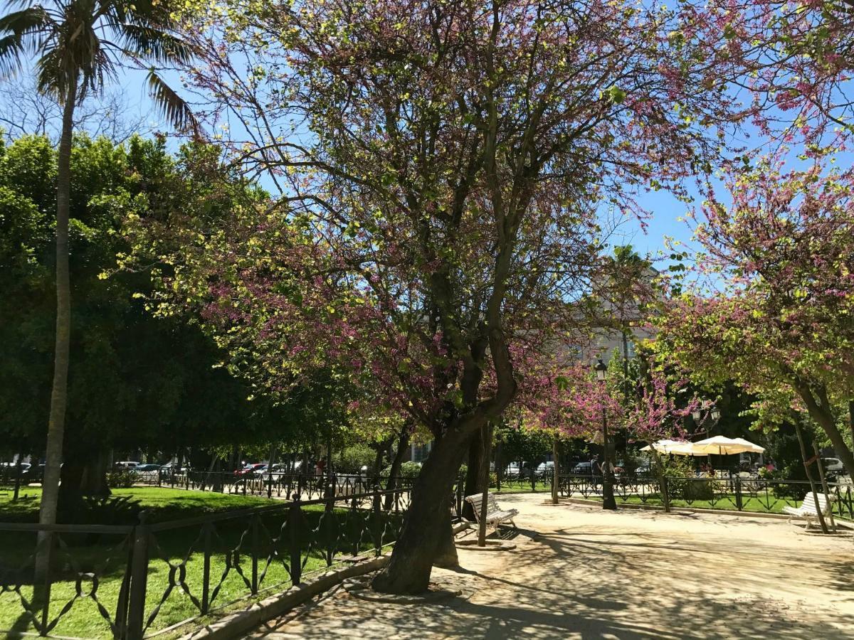 El Patio *